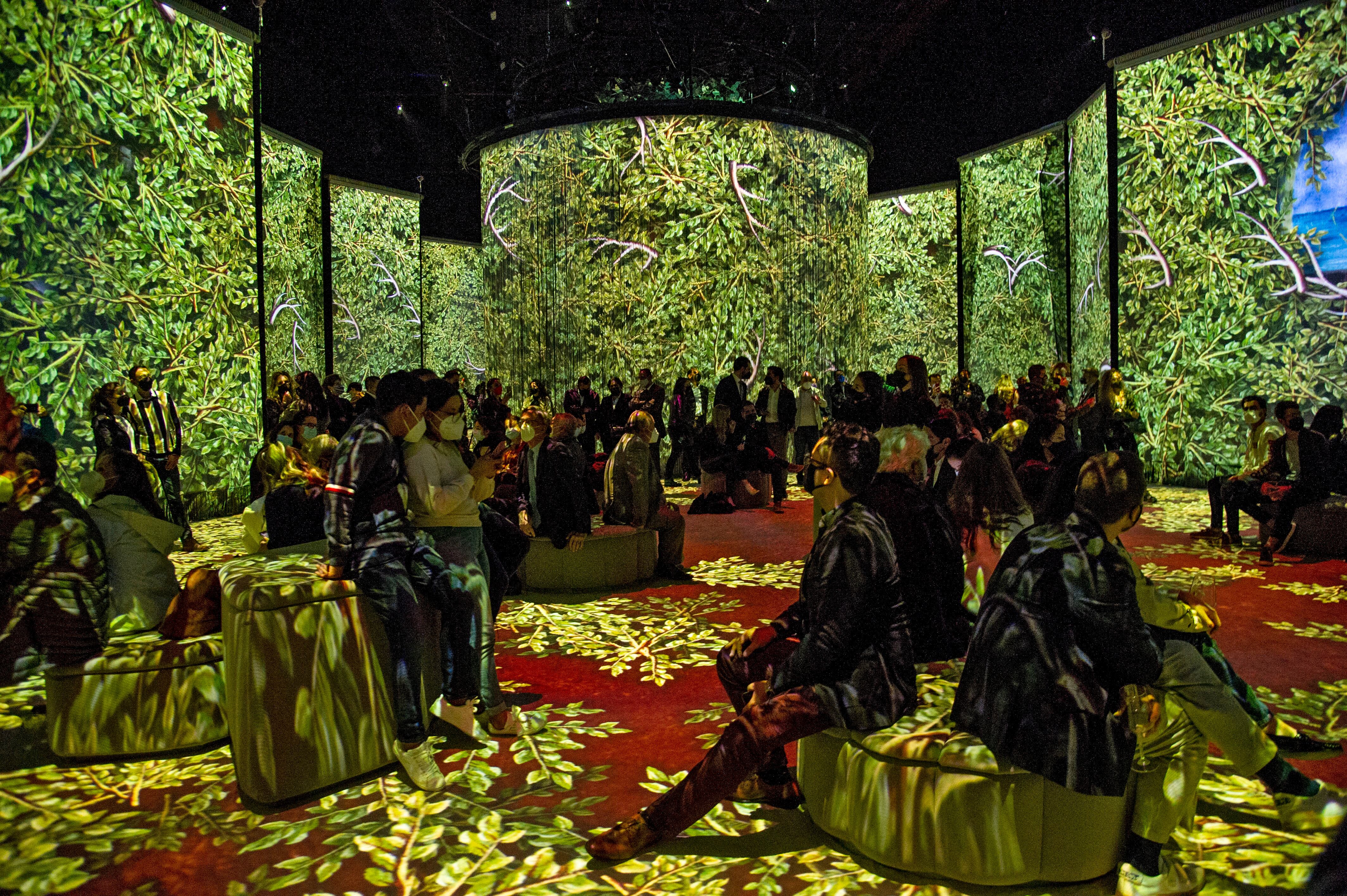 "Frida, la experiencia inmersiva" en Ciudad de México