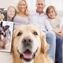 El caso de Clifford, un perro que padece epilepsia, revivió el debate sobre los animales como sujetos de derecho.