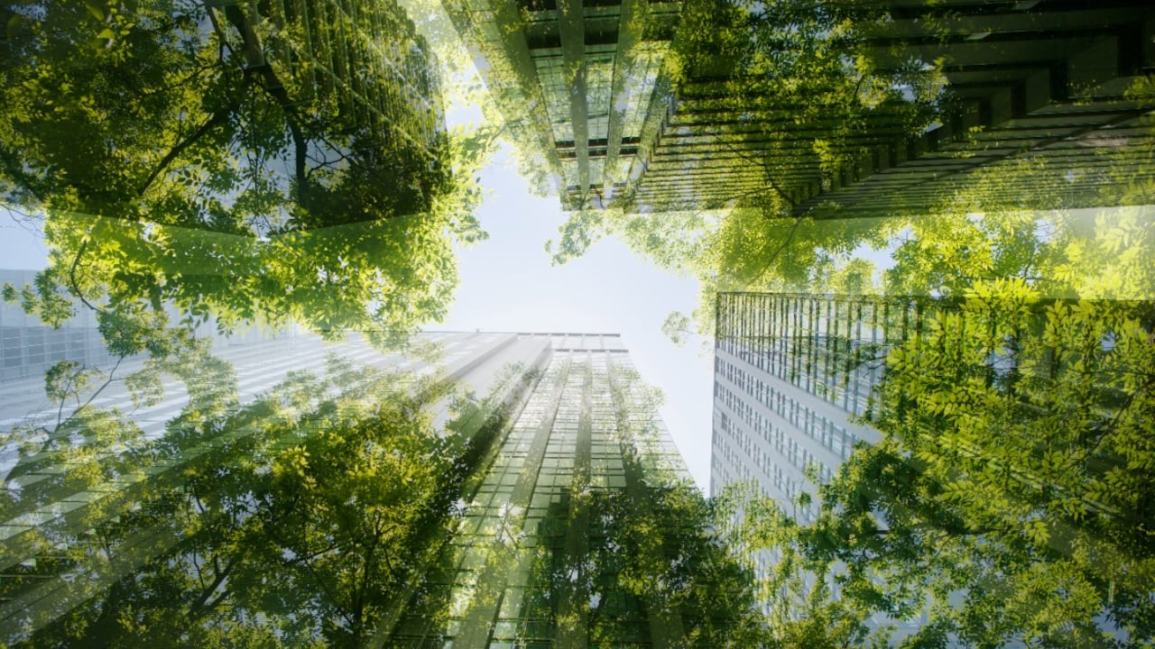 El Colombia Carbon Forum es un evento en el que diversas empresas podrán conocer la evolución del mercado voluntario de carbono en el país, con el que personas y empresas pueden comprar créditos de carbono para compensar sus emisiones de gases de efecto invernadero.