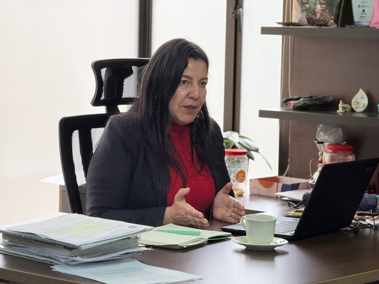 Geidy Ortega, viceministra de asuntos agropecuarios, explica en que consiste el proyecto de resolución de la libertad regulada de precios al arroz paddy verde.