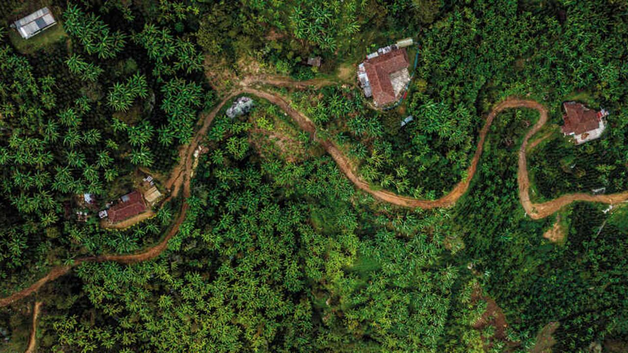 La iniciativa de la marca propia de Girardota se lanza el domingo, 23 de diciembre.