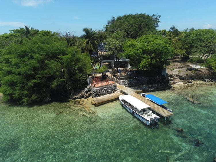 Durante el 2023 la Agencia Nacional de Tierras ha recuperado ocho terrenos