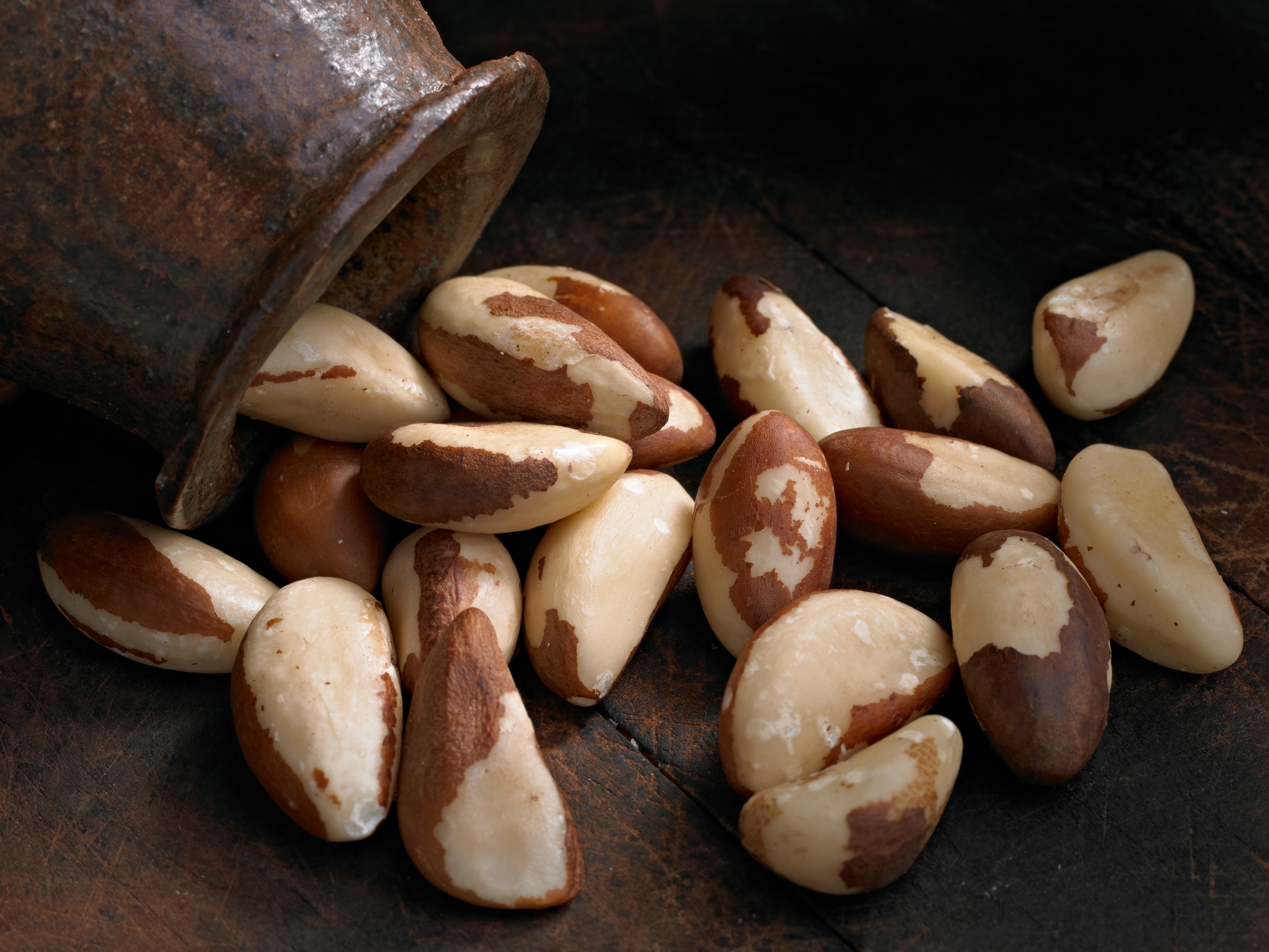 Nueces de Brasil