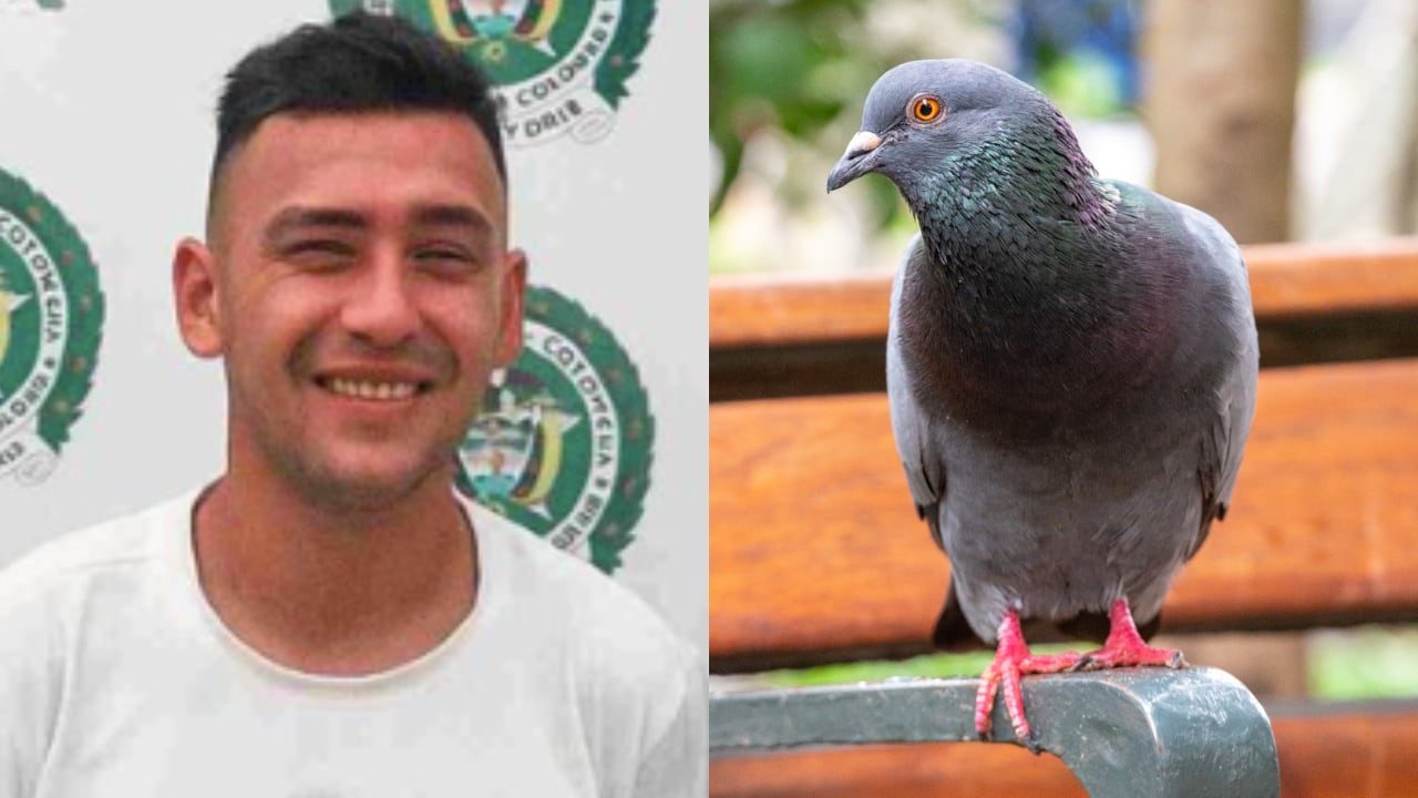 En la imagen, Ronald Stiven Trigos Rodríguez, hombre enviado a prisión.