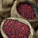 Una gran noticia llegó para el sector cafetero colombiano