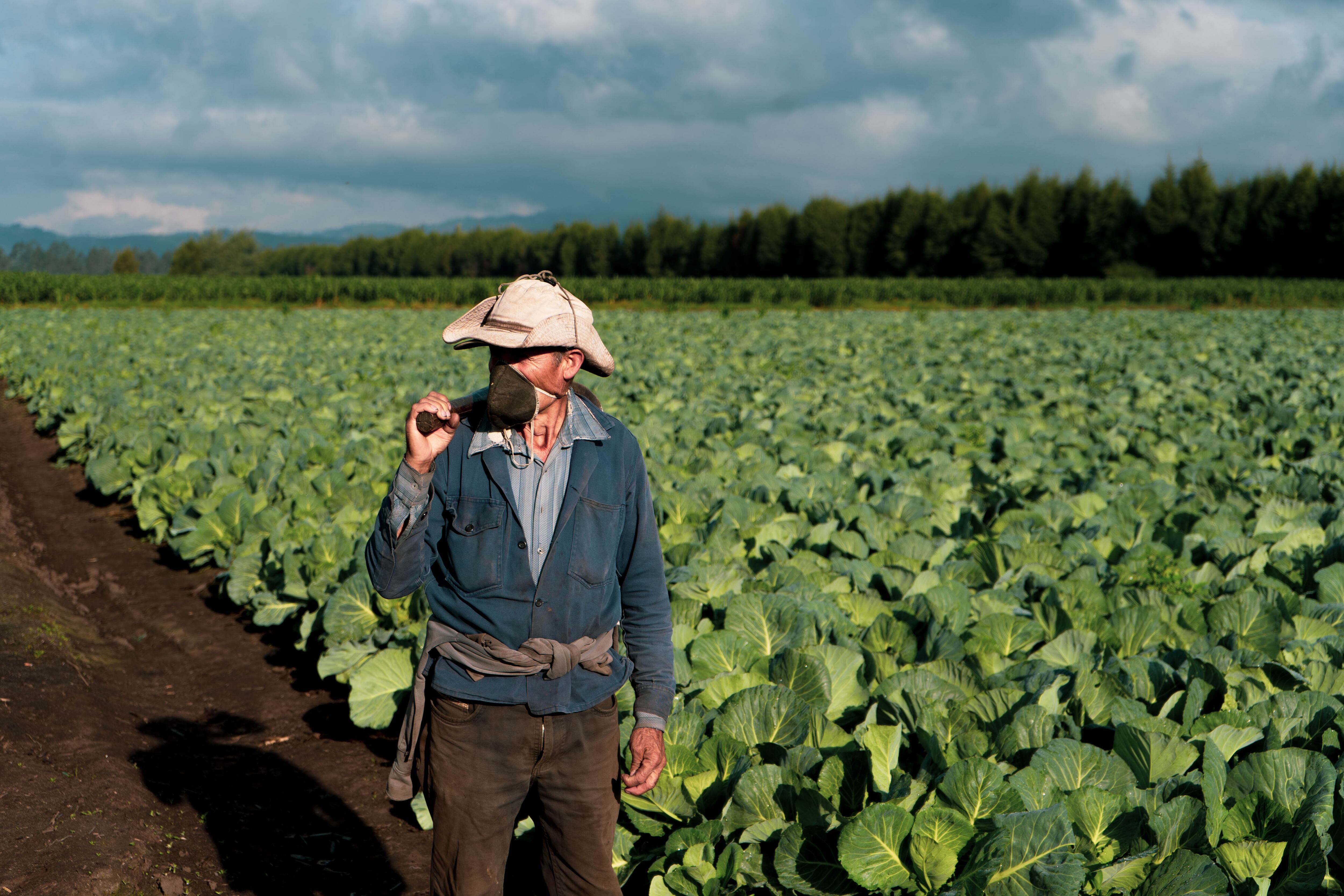  el uso del tapabocas se hace necesario ante la alerta del volcán