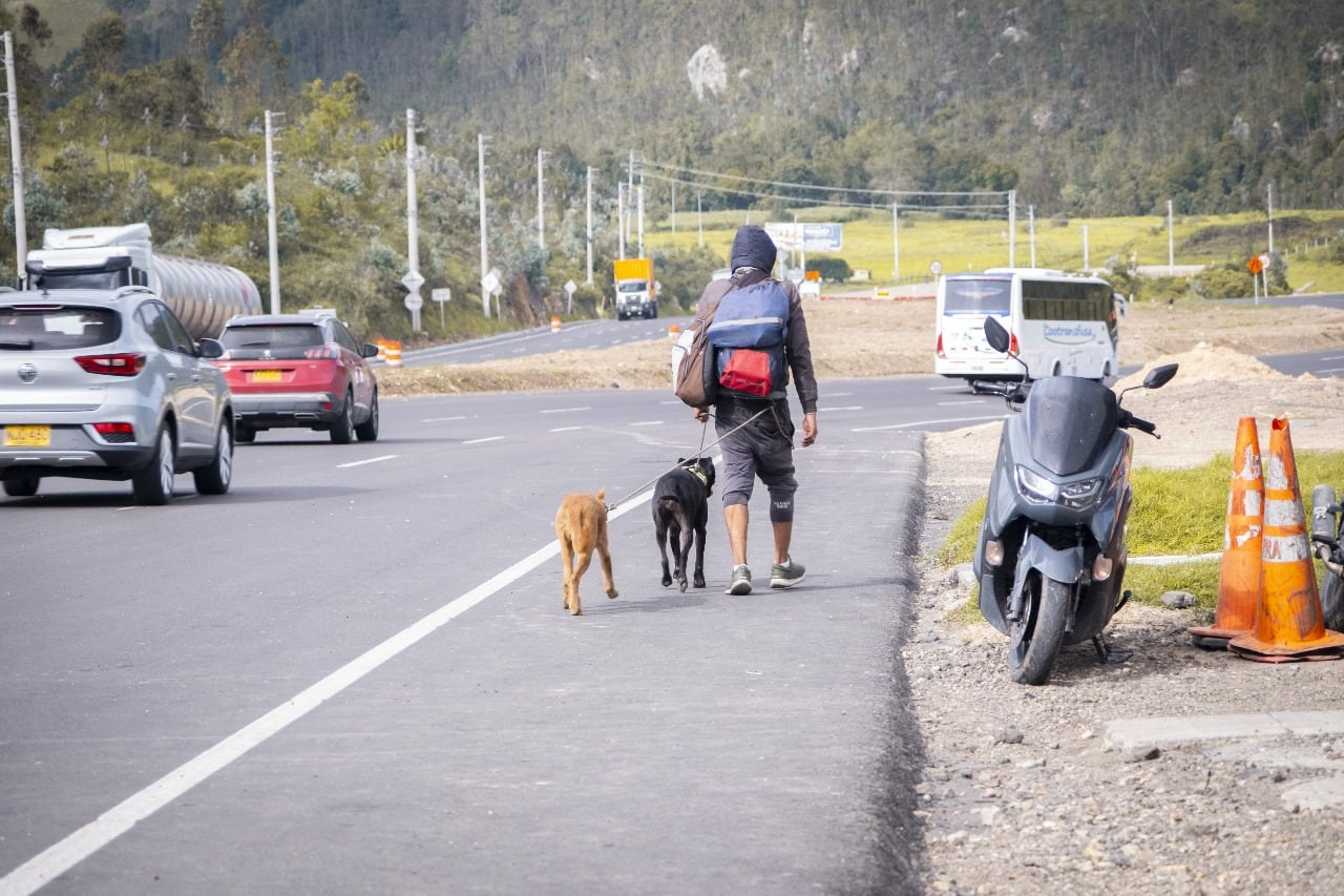 Caninantes: el programa que asiste a las mascotas de los migrantes venezolanos en la vía Bogotá-Girardot