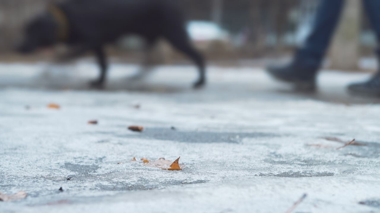 Imagen de referencia, no corresponde al caso en mención.