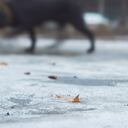 Imagen de referencia, no corresponde al caso en mención.