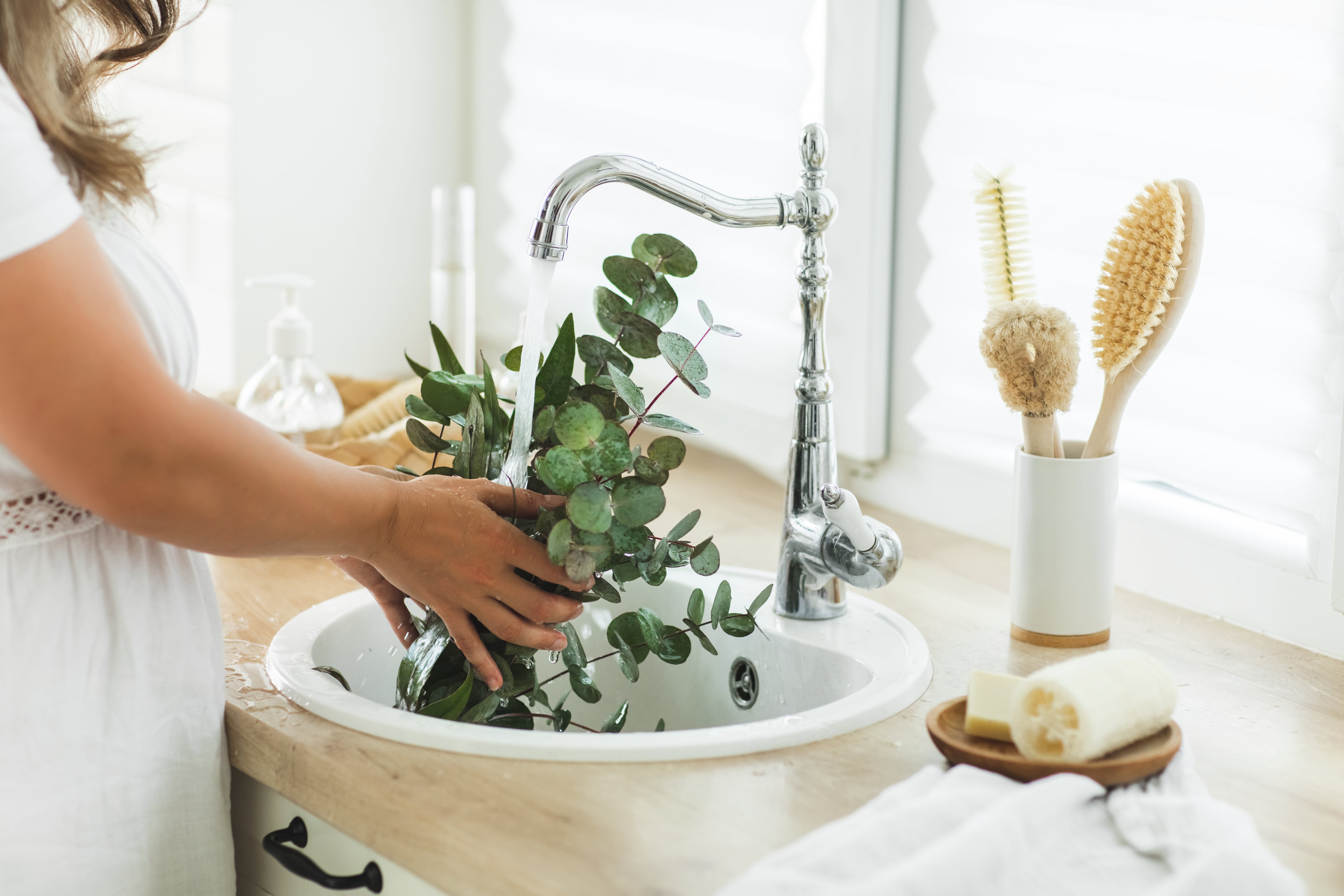 El eucalipto tiene propiedades antimicrobianas.