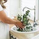 El eucalipto tiene propiedades antimicrobianas.