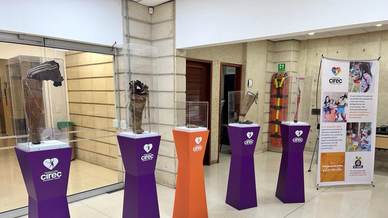 Día Internacional de Sensibilización contra las Minas Antipersonal