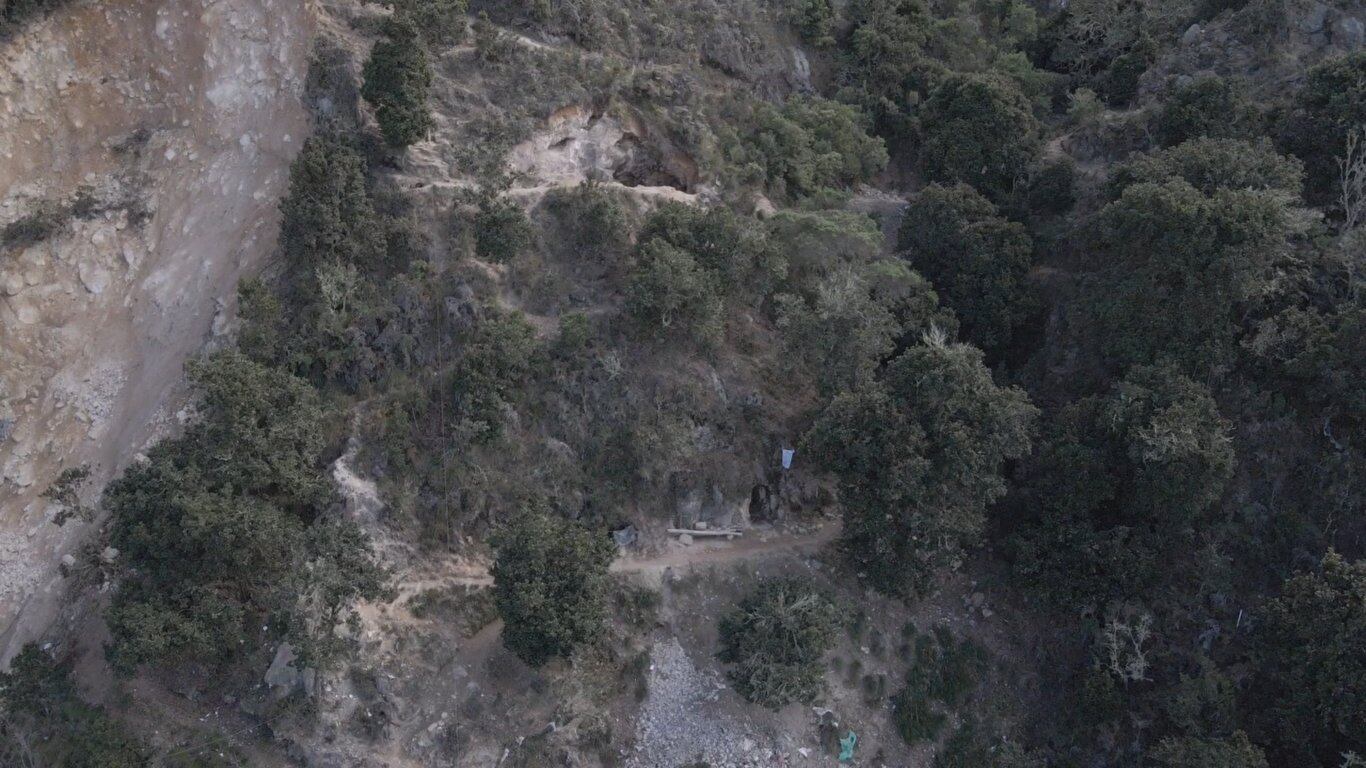 La decisión del gobierno Petro afecta la economía de estas familias en Santander.