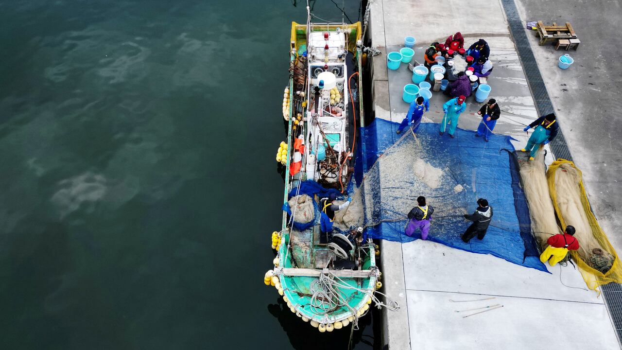 Pescadores lavan fideos para venderlos más tarde, en el puerto pesquero de Tsurishihama en Shinchimachi, a unos 55 km de la planta de energía nuclear inhabilitada Fukushima Dai-ichi, en la prefectura de Fukushima, Japón