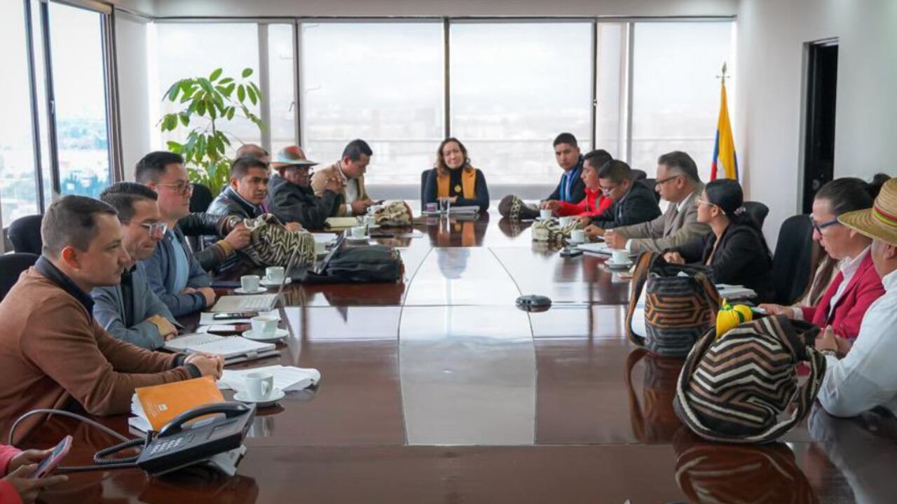 La reunión entre el Minsalud y la Mesa Permanente de Concertación de Pueblos Indígenas estuvo dirigida por la ministra de Salud, Carolina Corcho.