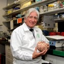 Francisco Lopera
Neurólogo
Doctor
Investigador
Facultad Nacional de Salud Publica
Universidad de Antioquia
UDA
Investigador
Medicina
Medellín
Colombia
Revista Semana
Fotos: Pablo Andrés Monsalve Mesa