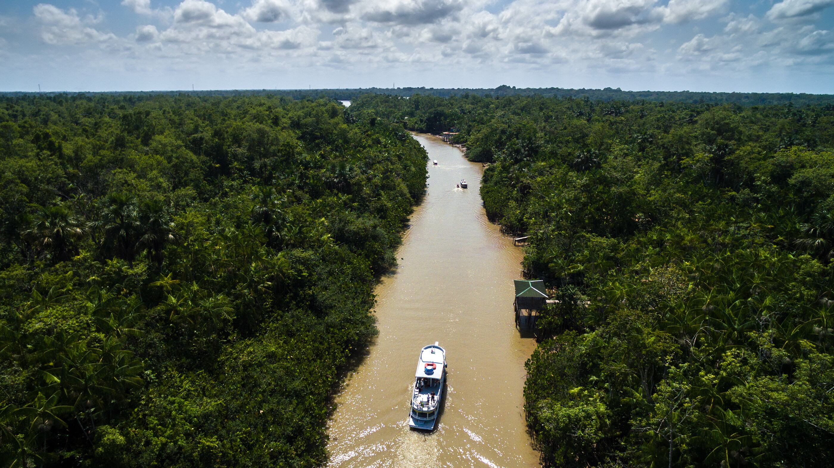 Hombre vivió momentos de pánico en el río Amazonas; fue atacado por extraña criatura