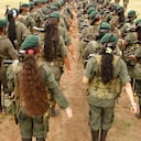 El protocolo aplicará tanto para los menores que ya salieron de las filas como para los que todavía se encuentran en manos de las FARC.