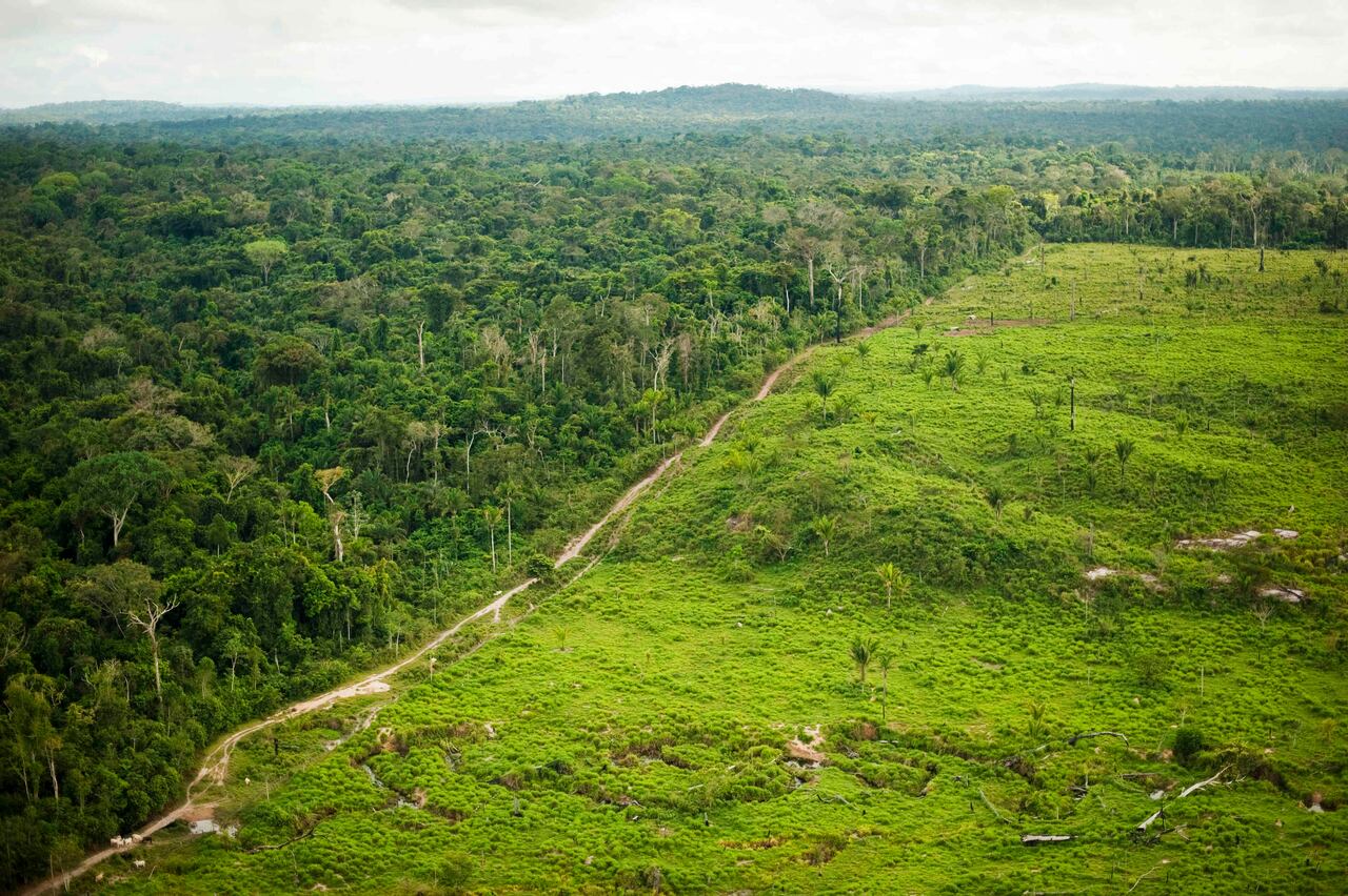 El equilibrio entre producción económica y conservación ambiental es uno de los grandes retos frente a la preservación de la Amazonía. La implementación de políticas públicas puede aportar a la solución y catapultar al estado de Pará, en Brasil, como un referente continental.