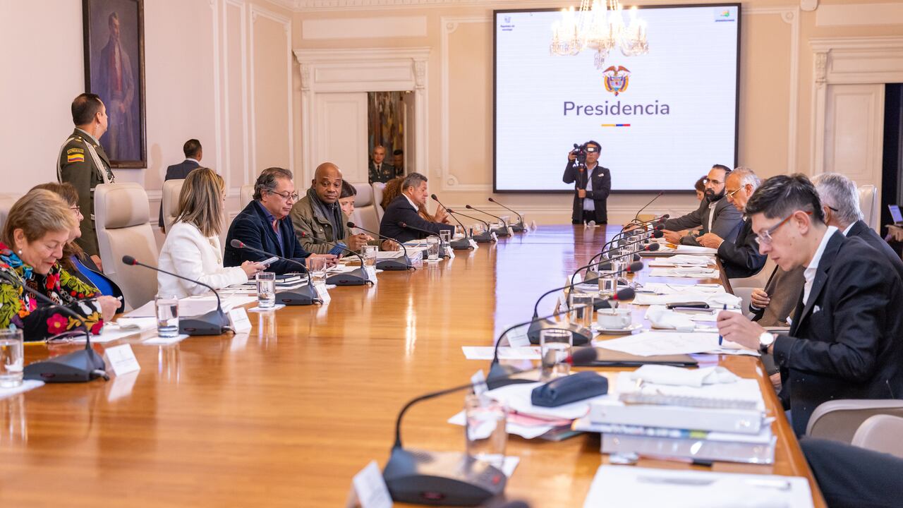 Las carteras del Gobierno tienen opiniones distintas sobre la pertinencia de lo que se está planteando en la iniciativa.