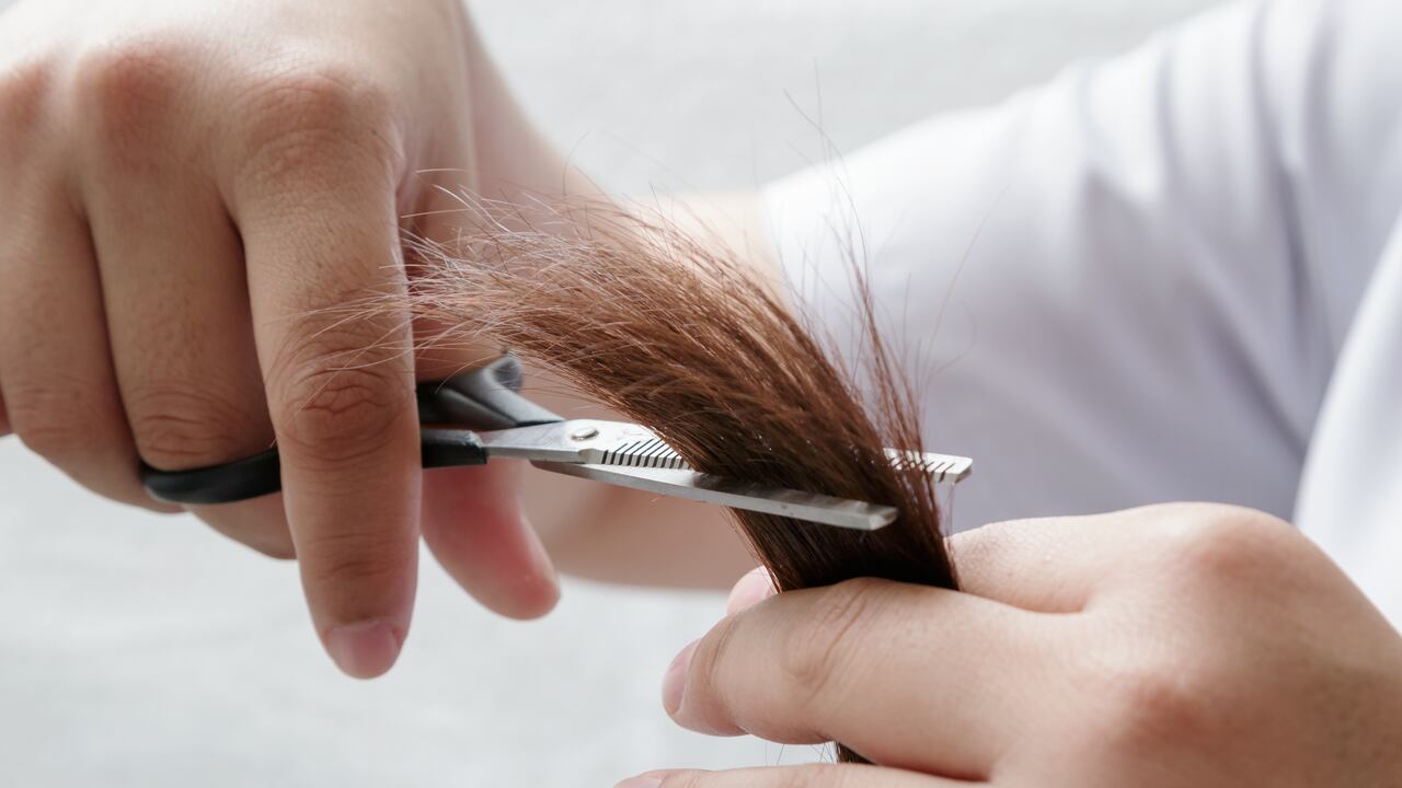 cortar el cabello