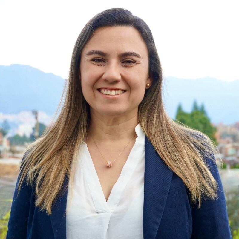 Liliana Ospina Arias, encargada como directora de la Aerocivil