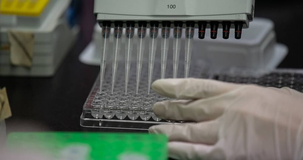 CureVac informó el miércoles que su proyecto de vacuna era eficaz en un 47%, según un análisis intermedio de un ensayo clínico a gran escala, y no cumplía por ahora los criterios exigidos.