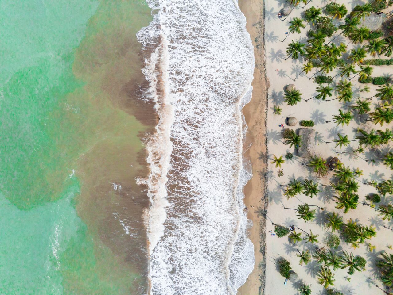 Palomino es de las experiencias turísticas más contemplativas del Caribe colombiano.