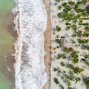 Palomino es de las experiencias turísticas más contemplativas del Caribe colombiano.