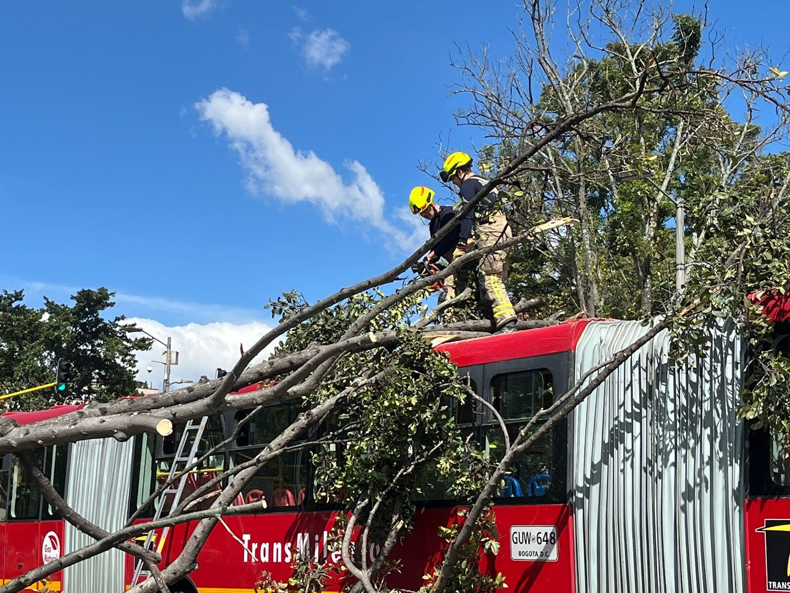 El árbol cayó encima del techo de TransMilenio