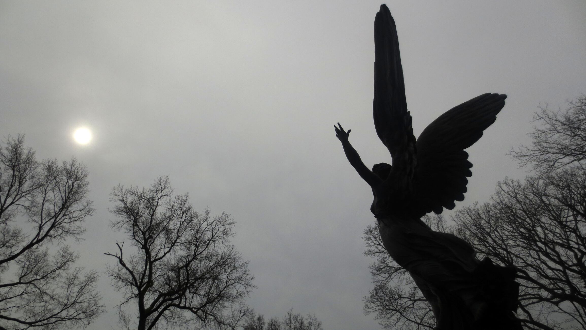 Mensajes de los ángeles para el 14 de agosto