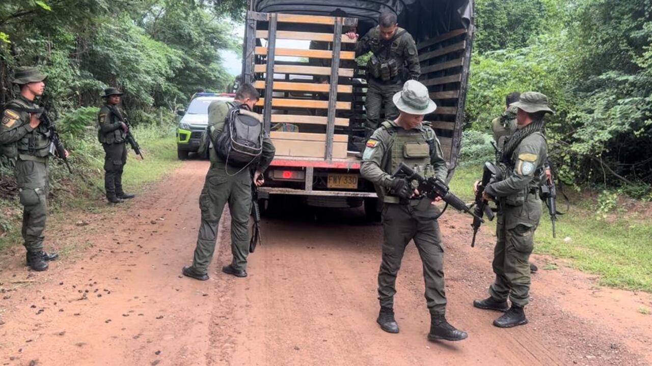 Fuerzas Militares secuestro Luis Manuel Díaz