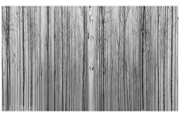 Cui XiuWen, la artista independiente china. http://fotomuseo.org/fotografica_2013