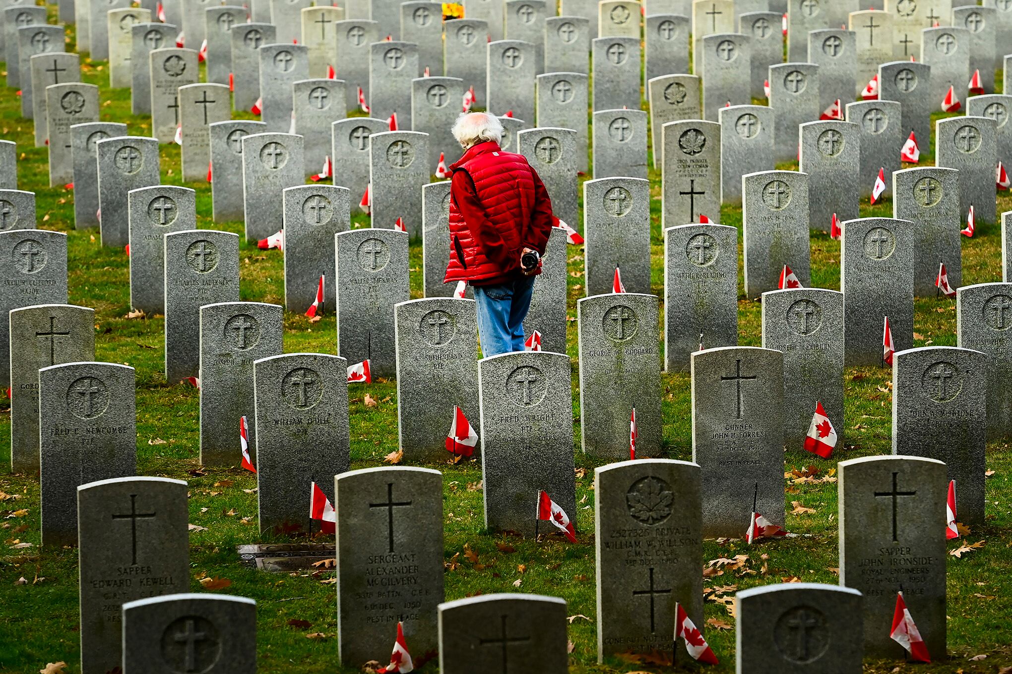 Fotos de la semana - 13 de noviembre de 2020