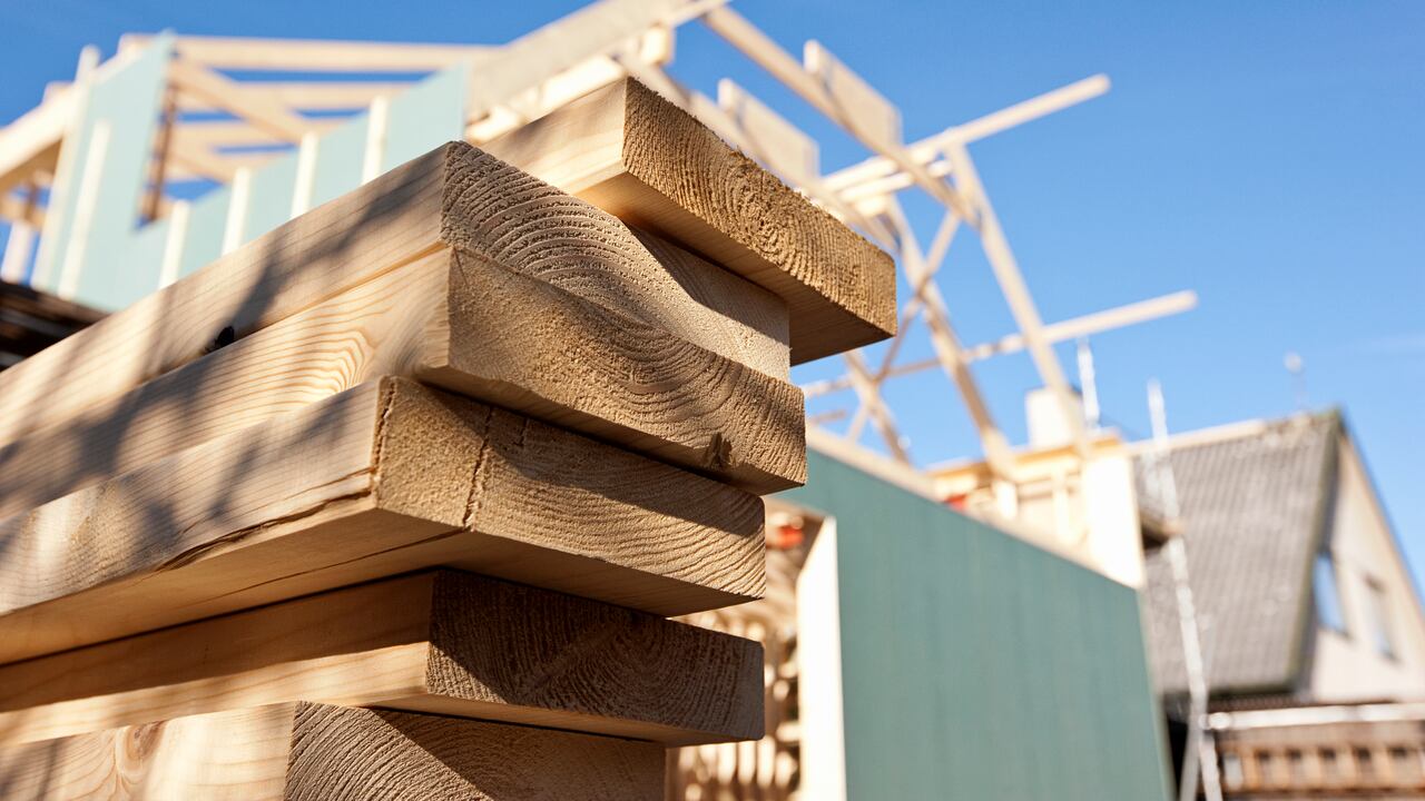 El sector maderero aseguró que es necesario impulsar esta industria como un referente de desarrollo sostenible en el país.