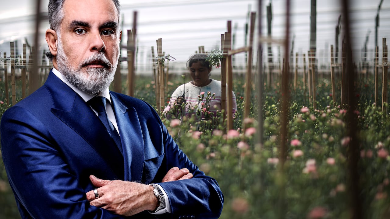 La floricultura colombiana genera un promedio de 16 empleos directos y formales por hectárea. Esta cifra contrasta de manera tajante con el “uno por hectárea” mencionado por Armando Benedetti, ministro del Interior.