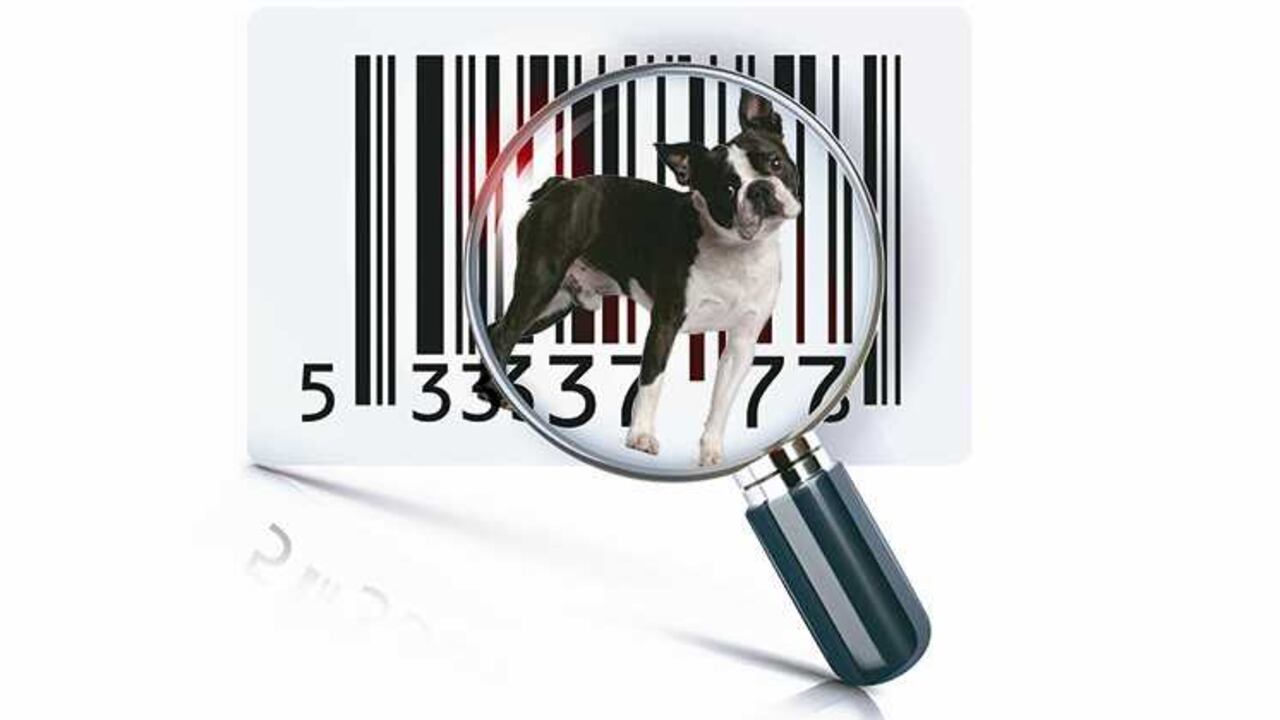 Cédula animal y microchip