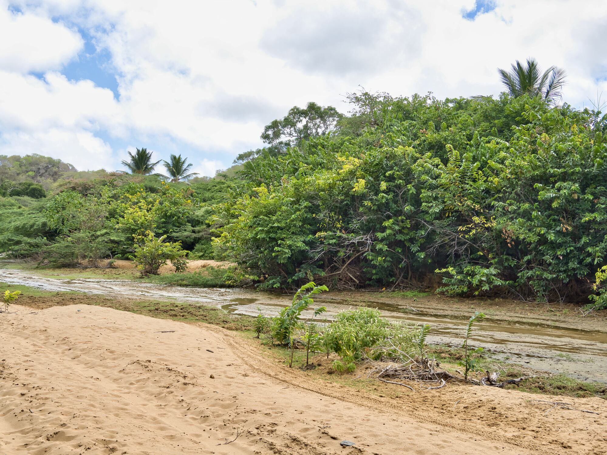 Macuira National Natural Park in la Guajira, near to the town of Nazareth.