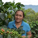 En esta iniciativa, el programa invierte $323 millones que se complementan con una contrapartida de las comunidades -en dinero o en especie- por 215 millones.