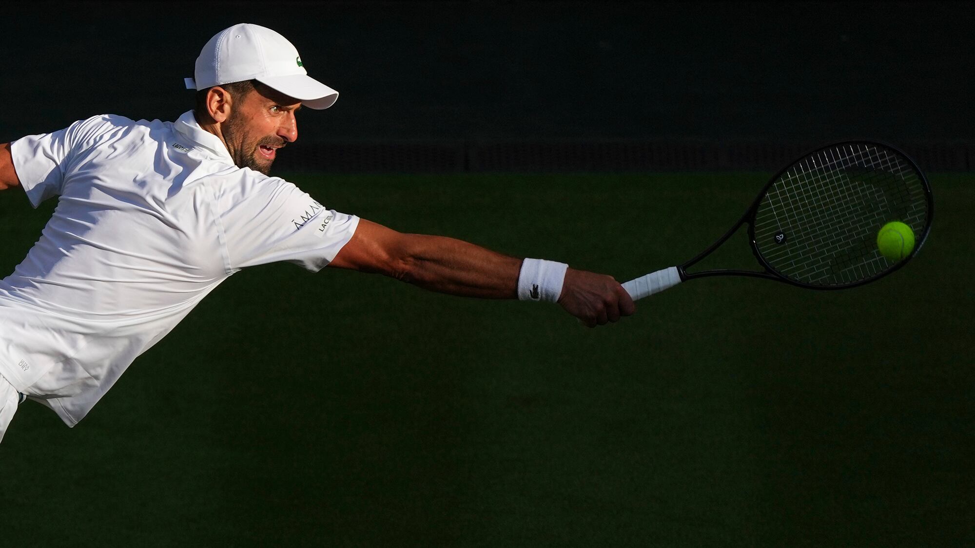 Fotos de la semana 11 julio