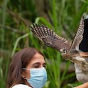 Liberan 57 animales silvestres en el Campus Vivo de la Universidad de Medellín.