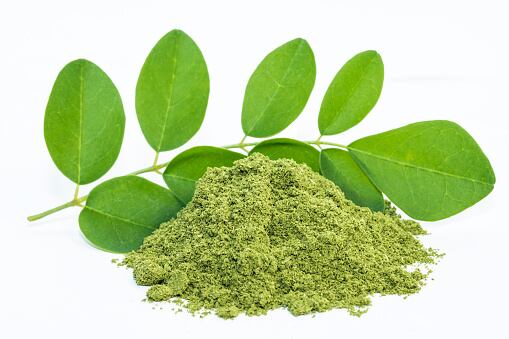 Moringa powder, Moringa oleifera on white background