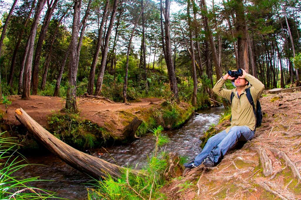 Corregimiento de Santa Elena, Antioquia