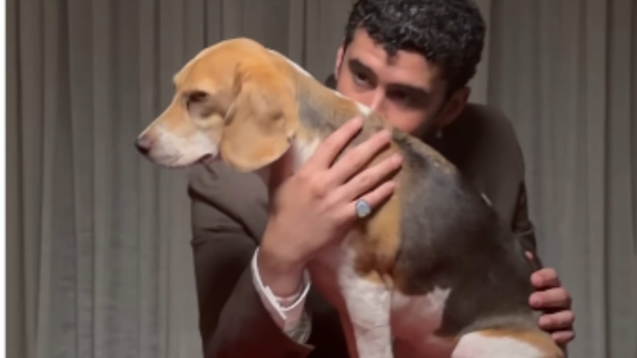 Bad Bunny y su perrita Sansa protagonizan portada de la revista Vogue.