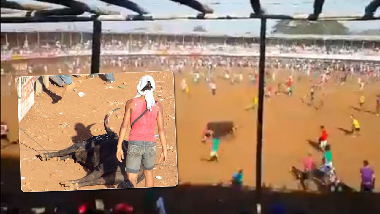 En colombia la muerte del toro generó indignación.