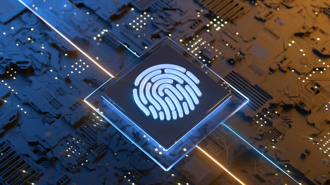 Biometría, Ciencias forenses, Seguridad de red, Asistencia sanitaria y medicina, Gráfica por computadora