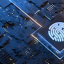 Biometría, Ciencias forenses, Seguridad de red, Asistencia sanitaria y medicina, Gráfica por computadora