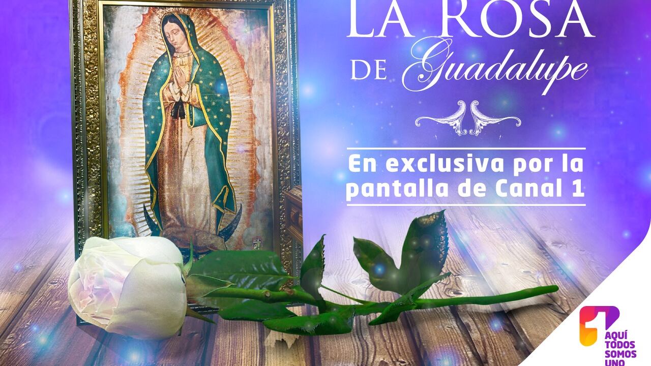 La Rosa de Guadalupe