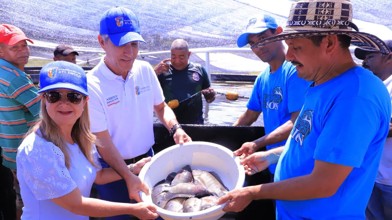 Los proyectos piscícolas están en 11 municipios de Atlántico
