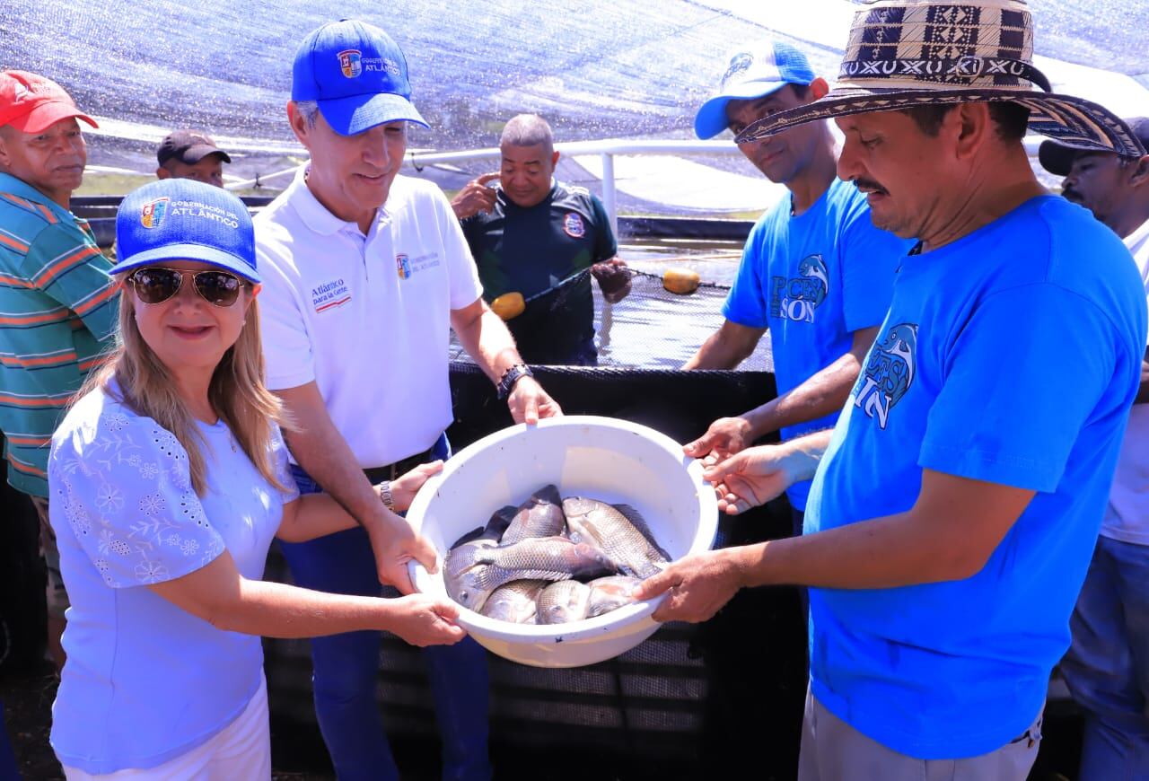 Los proyectos piscícolas están en 11 municipios de Atlántico